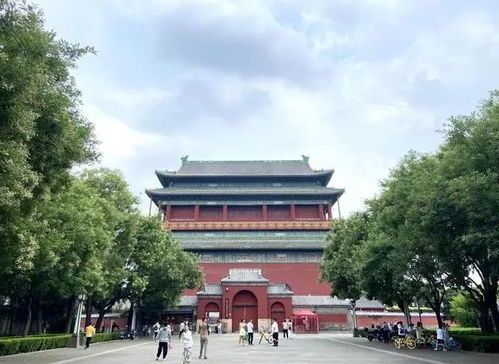 让文化遗产在新时代焕发新活力绽放新光彩